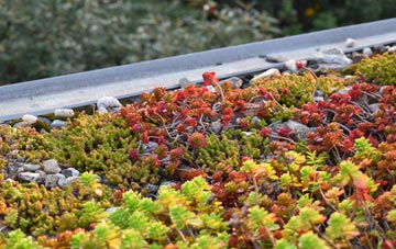 the cost of Linslade green roof installation