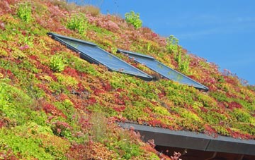 Linslade living roof systems